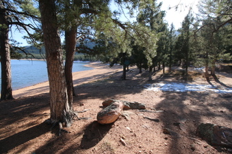 Enlarge photo 35