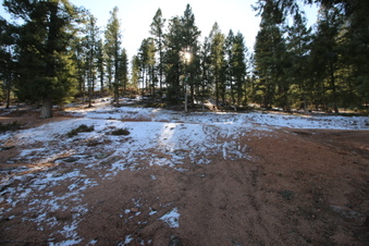 Enlarge photo 39