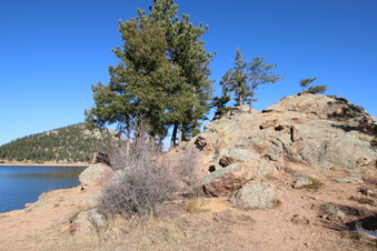 Enlarge photo 46