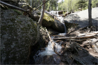 Enlarge photo 161