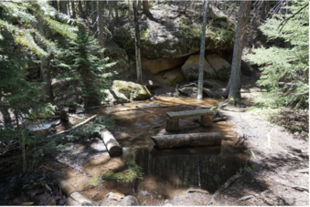 Enlarge photo 162