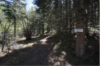Enlarge photo 172