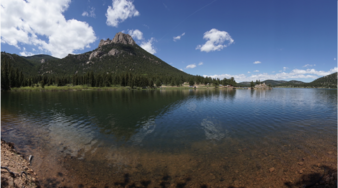 Enlarge photo 181