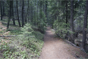 Enlarge photo 184