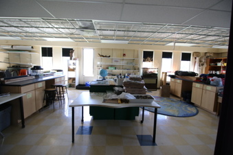 Enlarge photo 130