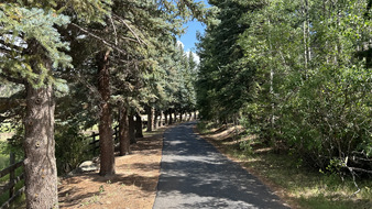 Enlarge photo 18