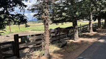 Enlarge photo 20