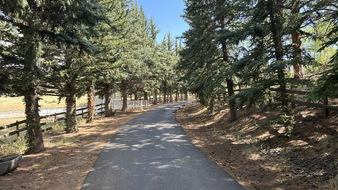 Enlarge photo 23