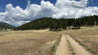 Enlarge photo 27