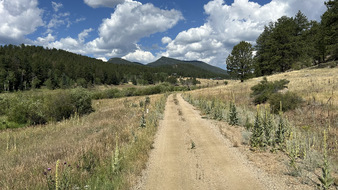 Enlarge photo 32