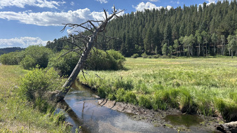 Enlarge photo 36