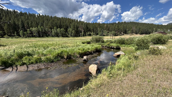 Enlarge photo 37