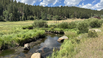 Enlarge photo 38