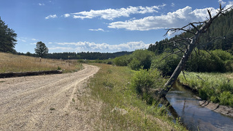 Enlarge photo 39