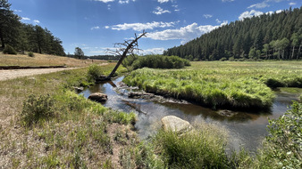 Enlarge photo 40