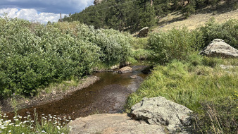 Enlarge photo 44
