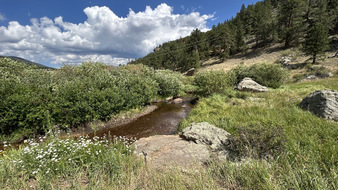 Enlarge photo 45