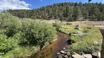 Enlarge photo 46