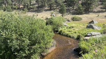 Enlarge photo 47