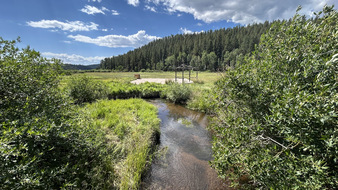 Enlarge photo 51