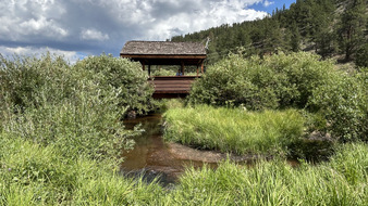 Enlarge photo 60