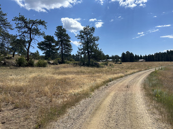Enlarge photo 67