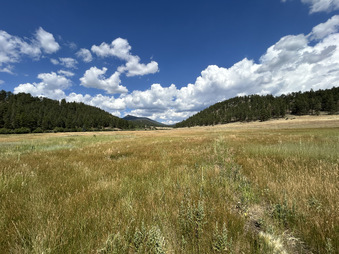 Enlarge photo 68