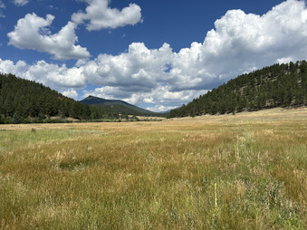 Enlarge photo 69