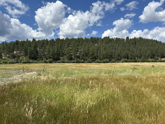 Enlarge photo 71