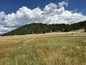 Enlarge photo 72