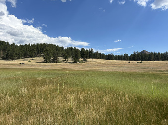 Enlarge photo 73