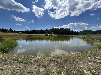 Enlarge photo 76