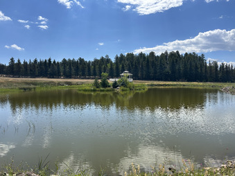 Enlarge photo 78