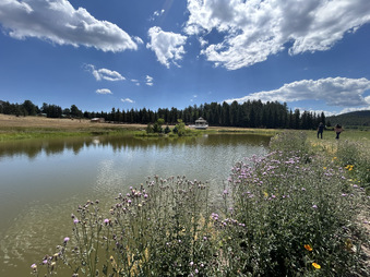 Enlarge photo 80