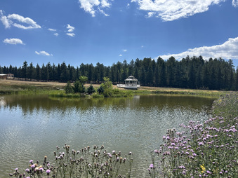 Enlarge photo 81