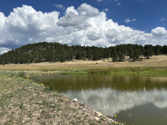Enlarge photo 83