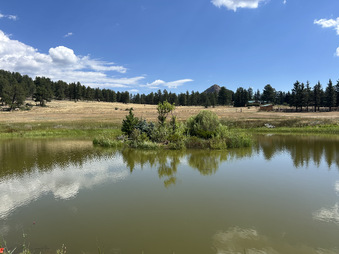 Enlarge photo 84