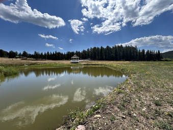 Enlarge photo 88