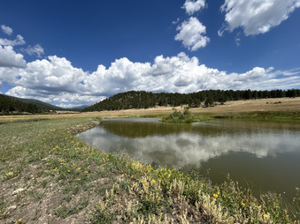 Enlarge photo 91