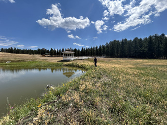 Enlarge photo 93