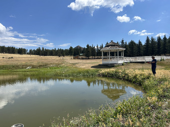 Enlarge photo 96