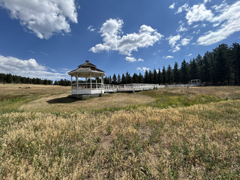Enlarge photo 97