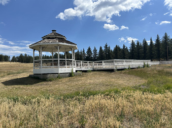 Enlarge photo 98