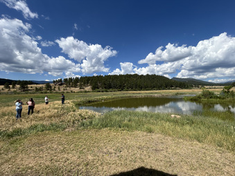 Enlarge photo 99