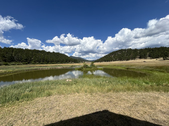 Enlarge photo 100