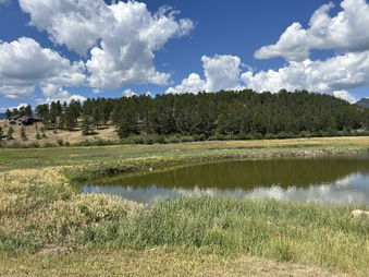 Enlarge photo 102