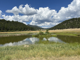 Enlarge photo 103