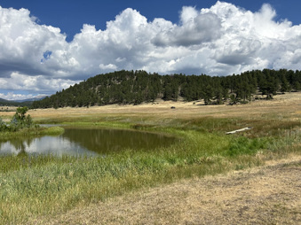 Enlarge photo 104