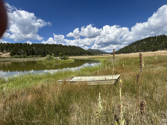 Enlarge photo 105