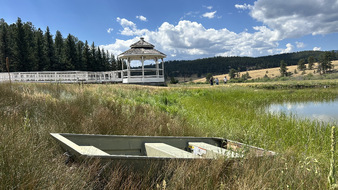 Enlarge photo 107